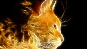 Огненная кошка арт