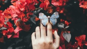 Эстетичные картинки на аву