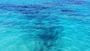 Обои на рабочий стол вода море океан