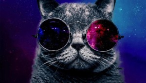 Котик в черных очках