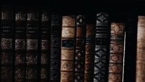Эстетика коричневого книги