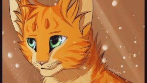 Коты воители рыжик