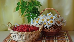 Открытки с добрым утром цветы в корзинах