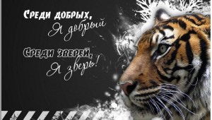Заставки для монитора