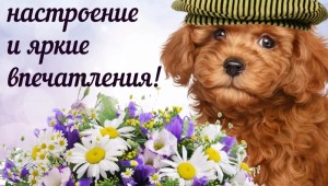 И отличного настроения