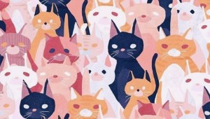 Обои с рисованными котиками