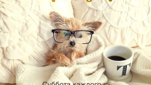 Отличного субботнего дня