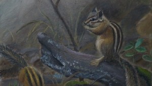 Бурундук рисунок