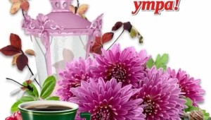 Хорошего воскресного дня и отличного настроения