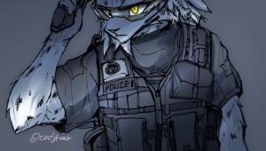 Фурри военные