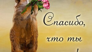 Открытки с благодарностью мужчине за внимание