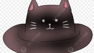 Шляпа на белом фоне кот