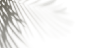 Фон с тенью от листьев