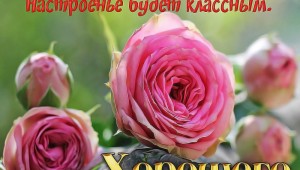Замечательного дня и отличного настроения сестренка