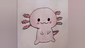 Аксолотль рисунок для срисовки