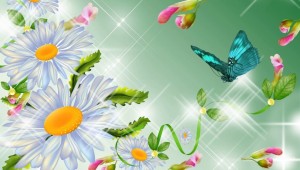 Фон для поздравления с ромашками