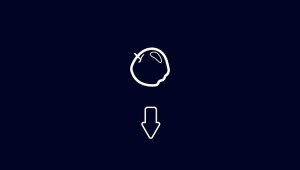 Обои на телефон рабочий экран и экран блокировки двойные