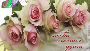С днем рождения женщине розы шикарные с пожеланиями