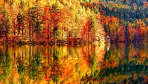 Природа осень на рабочий стол