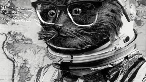 Котик в скафандре