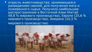 Растениеводство презентация