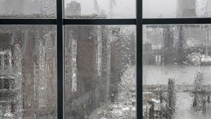 Эстетика дождя в лесу за окном