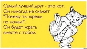Я тебя люблю все будет хорошо картинки