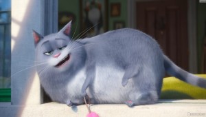 Кошка хлоя и котята
