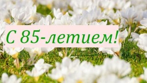 85 лет картинки