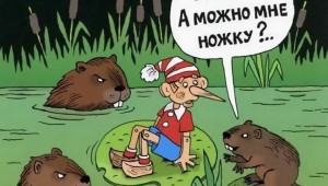 Международный день бобра
