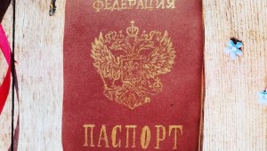 Картинки с получением паспорта