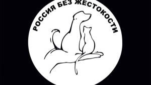 Международный день животных плакат