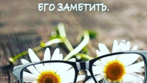 Цветы и небо цитаты