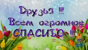 Международный день спасибо картинки