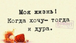 Смешные картинки про жизнь со смыслом с надписями