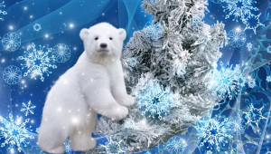 Зимние обои на телефон 2024