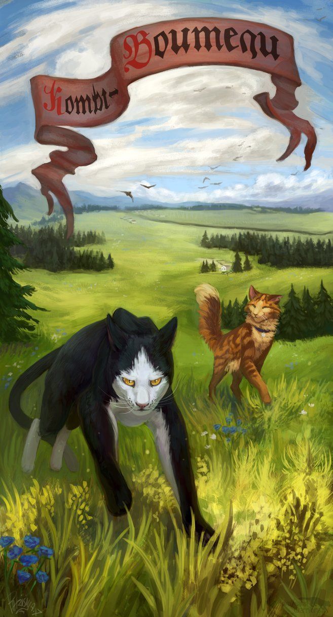 Коты Воители Лучезвёзд