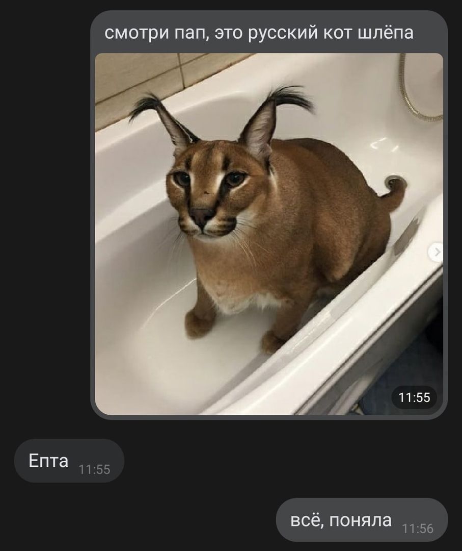 Котенок из Тома и Джерри