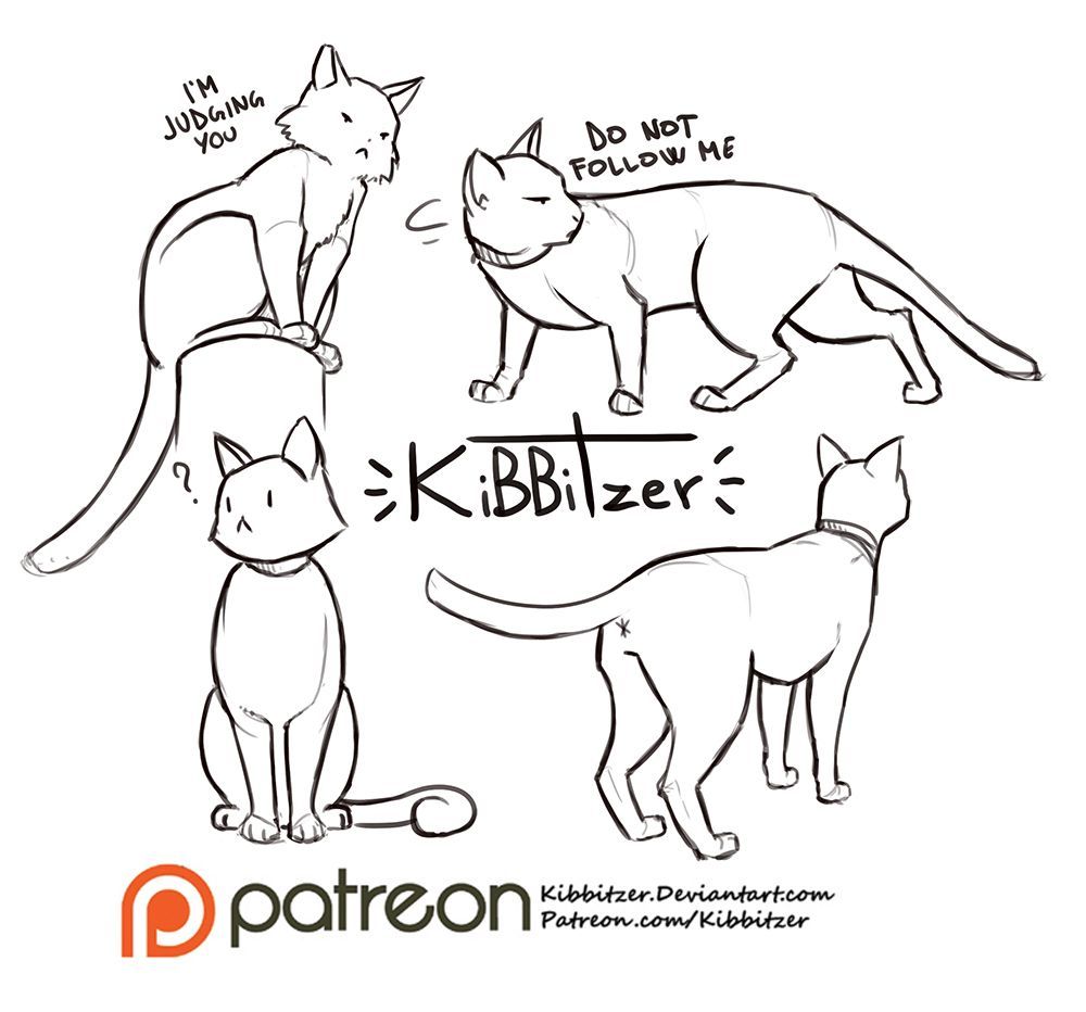 Kibbitzer позы животных