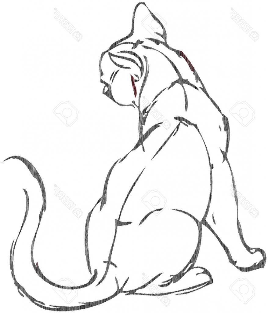 Кот сидит поза