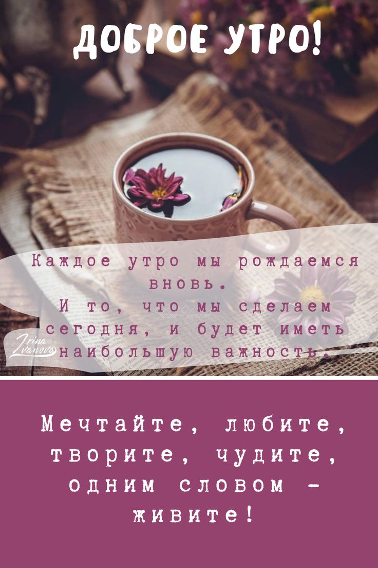 Красивые высказывания с добрым утром