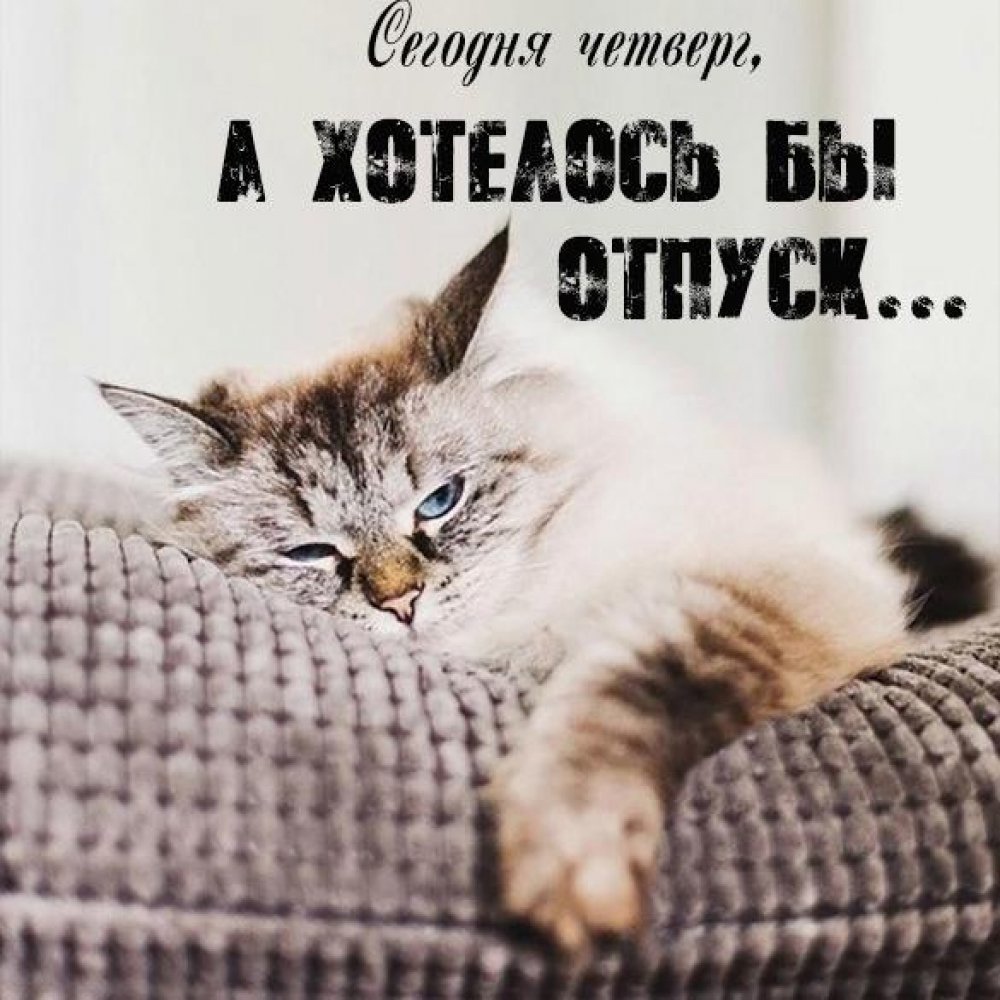 Ты единственный Автор всего что с тобой происходит