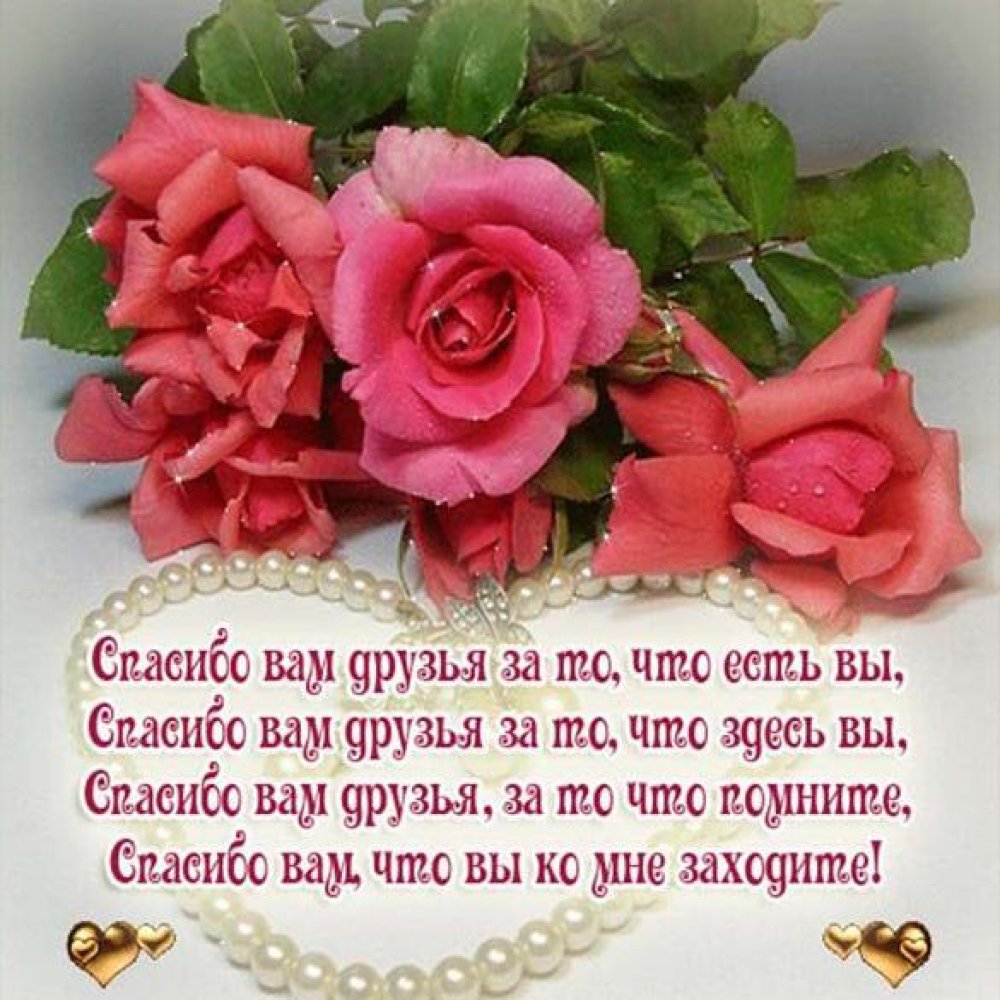Спасибо за поздравления в стихах