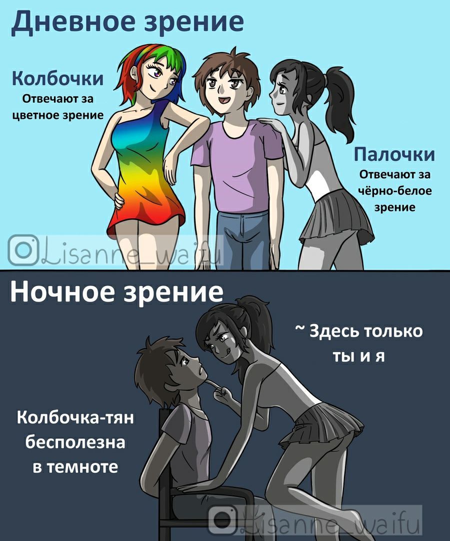 Хымонизации смешариков
