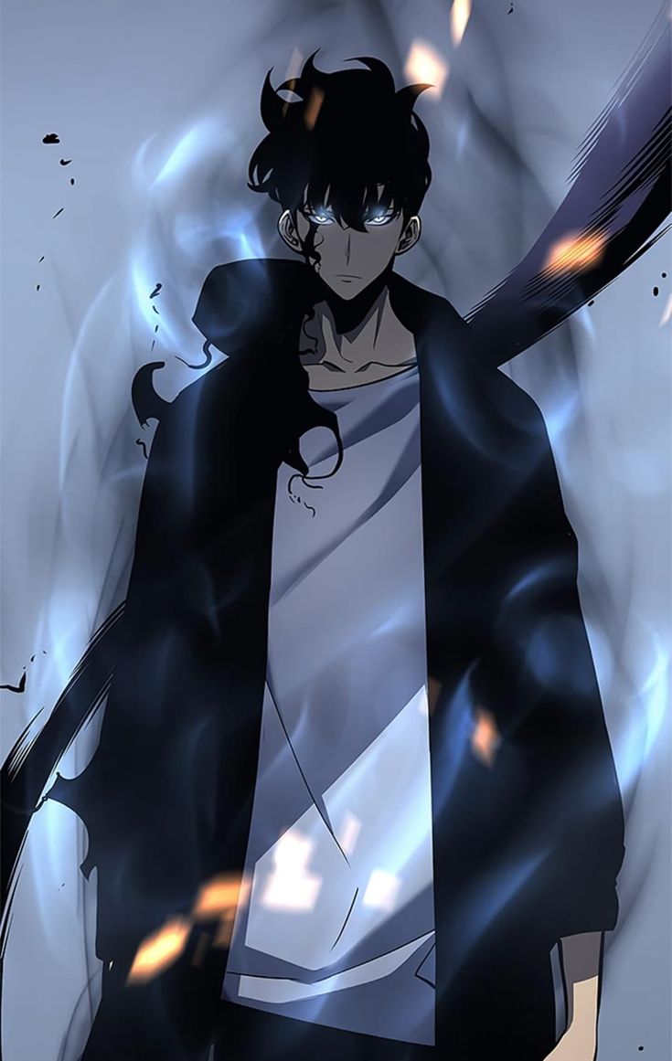Solo Leveling Sung Jin-Woo