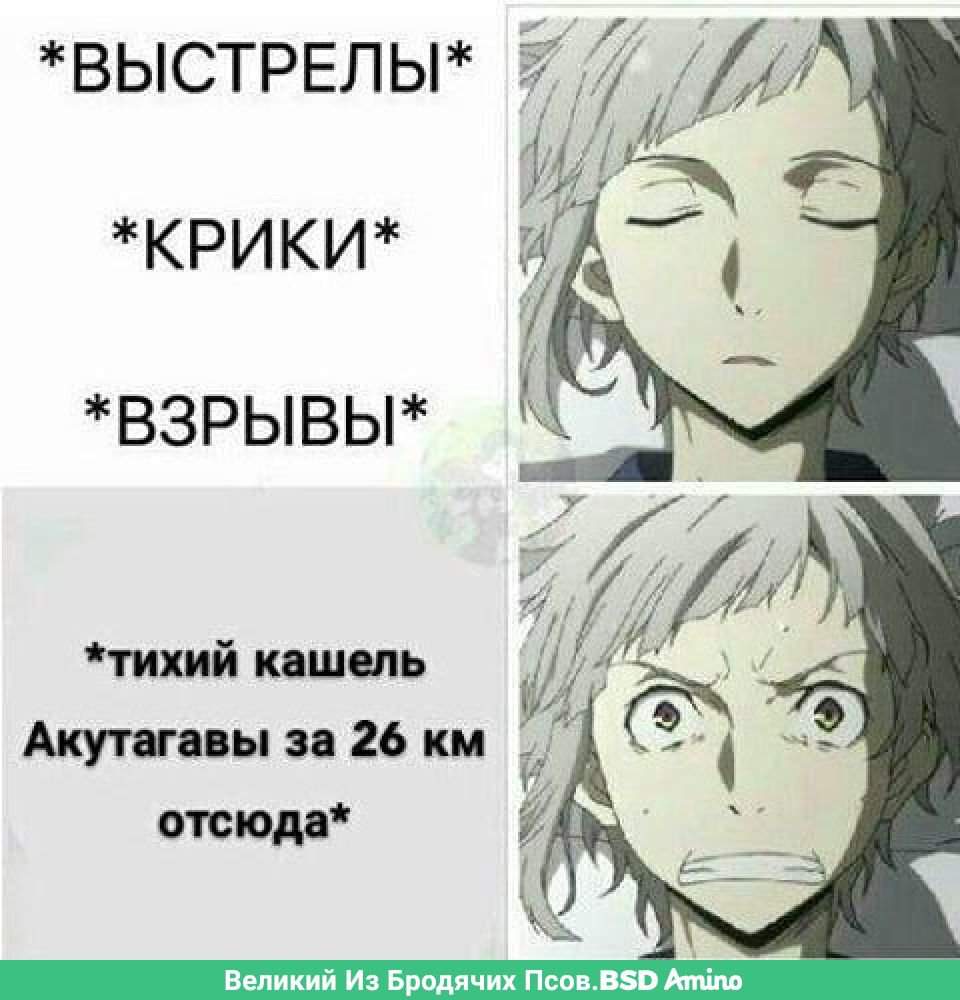 Спящий Чуя Накахара