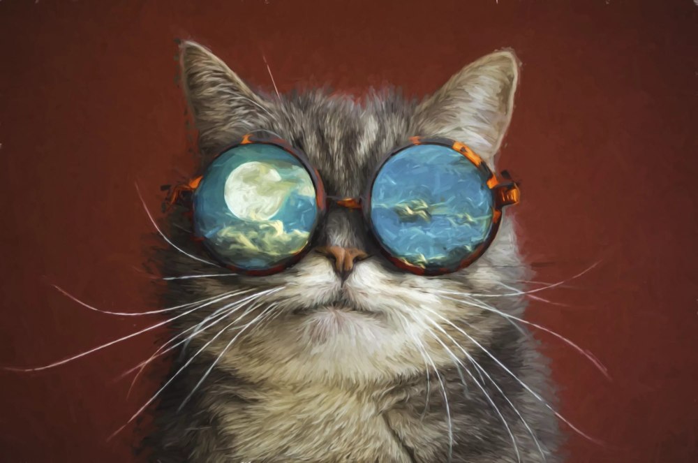 Крутые коты