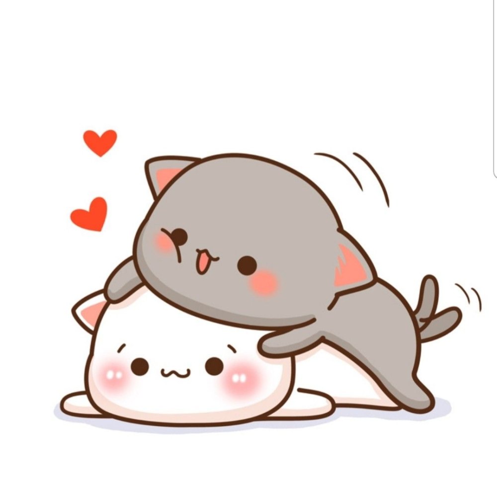 Кавайные котики любовь