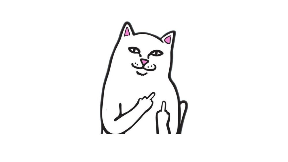 Котик Минимализм