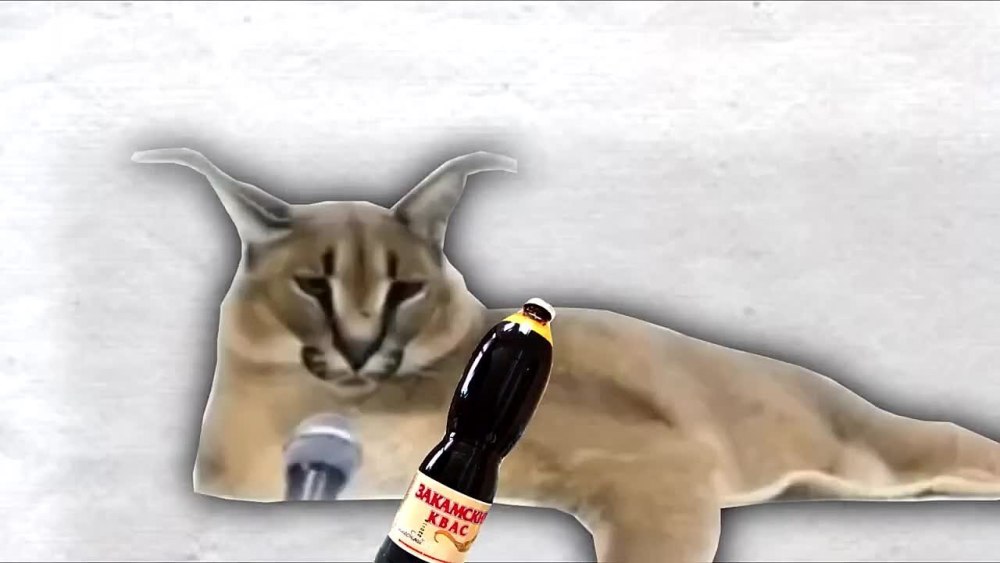 Пушин Кэт